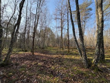 propriete a vendre Nançay 18330 Cher 210 m2 5 pièces 647900 euros