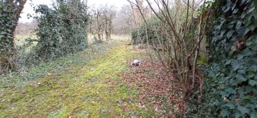 Maison a vendre Chalindrey 52600 Haute-Marne 126 m2 5 pièces 91000 euros