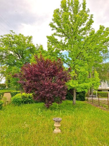 Maison a vendre Peschadoires 63920 Puy-de-Dôme 123 m2 8 pièces 171000 euros