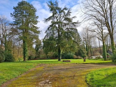Maison a vendre Locarn 22340 Côtes-d'Armor 189 m2 6 pièces 121000 euros
