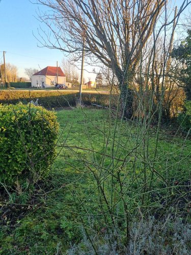 Maison a vendre Looberghe 59630 Nord 91 m2  157500 euros