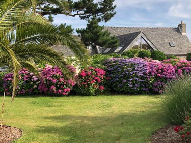 Maison a vendre Roscoff 29680 Finistère 154 m2 5 pièces 850000 euros
