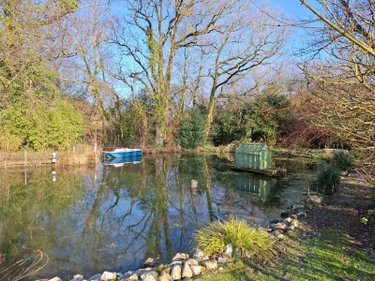 Maison a vendre Saint-Igeaux 22570 Côtes-d'Armor 182 m2 6 pièces 273000 euros