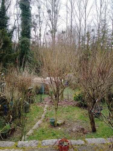 Maison a vendre Soissons 02200 Aisne 125 m2 6 pièces 166400 euros