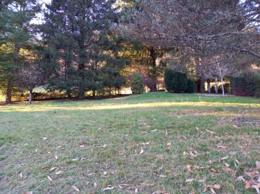 Maison a vendre Vic-sur-Cère 15800 Cantal 120 m2  180000 euros