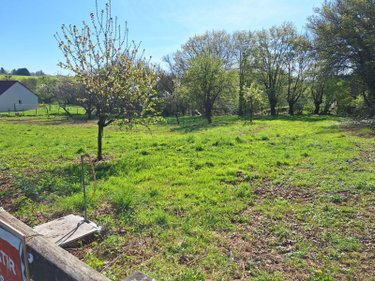 Terrain a batir a vendre Quantilly 18110 Cher 1176 m2  29500 euros