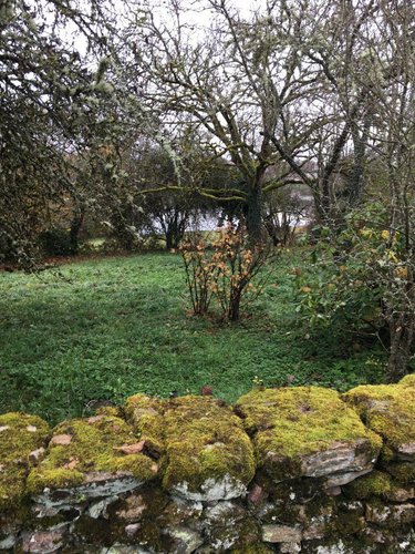 Maison a vendre Saint-Sernin-du-Bois 71200 Saône-et-Loire 145 m2 4 pièces 126900 euros