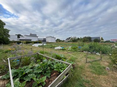 Maison a vendre Trégueux 22950 Côtes-d'Armor 78 m2 3 pièces 332360 euros