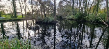 Terrains de loisirs bois etangs a vendre Saint-Georges-du-Rosay 72110 Sarthe 3320 m2  8640 euros