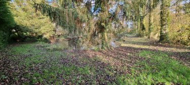 Terrains de loisirs bois etangs a vendre Saint-Georges-du-Rosay 72110 Sarthe 3320 m2  8640 euros