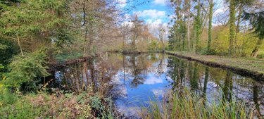 Terrains de loisirs bois etangs a vendre Saint-Georges-du-Rosay 72110 Sarthe 3320 m2  8640 euros