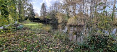 Terrains de loisirs bois etangs a vendre Saint-Georges-du-Rosay 72110 Sarthe 3320 m2  8640 euros