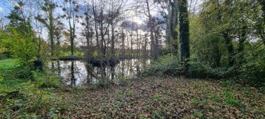 Terrains de loisirs bois etangs a vendre Saint-Georges-du-Rosay 72110 Sarthe 3320 m2  8640 euros