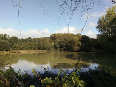 Maison a vendre Villaines-la-Juhel 53700 Mayenne 106 m2 7 pièces 218880 euros