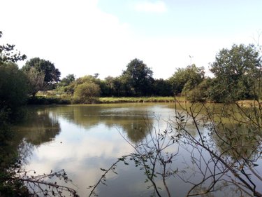 Maison a vendre Villaines-la-Juhel 53700 Mayenne 106 m2 7 pièces 229180 euros