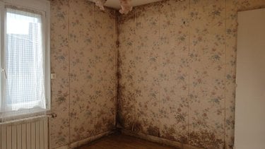 Maison a vendre Buchy 76750 Seine-Maritime 62 m2 4 pièces 146300 euros