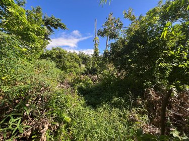 Maison a vendre Saint-André 97440 Réunion 185 m2 5 pièces 743900 euros