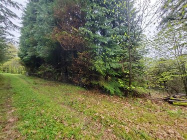 Maison a vendre Saint-Pardoux-Morterolles 23400 Creuse 127 m2 5 pièces 30000 euros