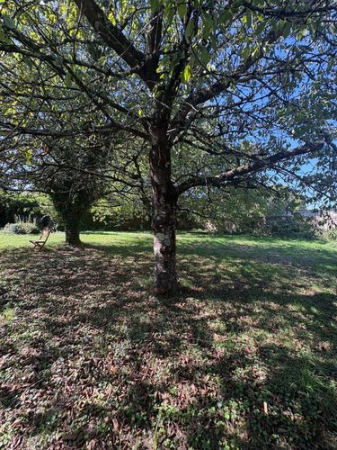 Maison a vendre Argenton-sur-Creuse 36200 Indre 111 m2 4 pièces 164300 euros