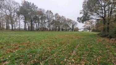 Maison a vendre Sixt-sur-Aff 35550 Ille-et-Vilaine 63 m2  116000 euros
