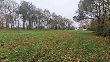 Maison a vendre Sixt-sur-Aff 35550 Ille-et-Vilaine 63 m2  116000 euros