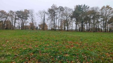 Maison a vendre Sixt-sur-Aff 35550 Ille-et-Vilaine 63 m2  116000 euros