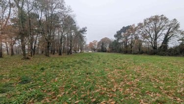 Maison a vendre Sixt-sur-Aff 35550 Ille-et-Vilaine 63 m2  116000 euros