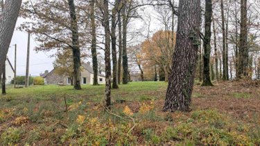 Maison a vendre Sixt-sur-Aff 35550 Ille-et-Vilaine 63 m2  116000 euros