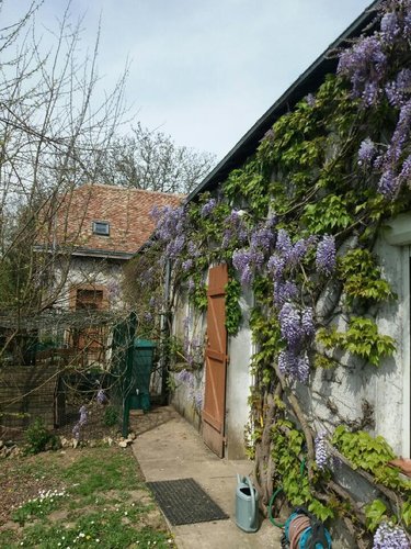 Maison a vendre Tresson 72440 Sarthe 183 m2  199500 euros