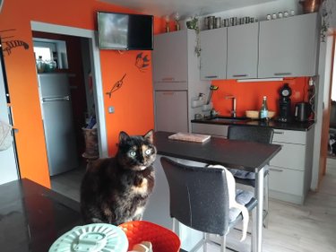 Maison a vendre Tresson 72440 Sarthe 183 m2  225750 euros