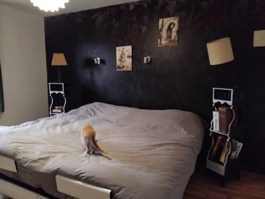 Maison a vendre Tresson 72440 Sarthe 183 m2  199500 euros