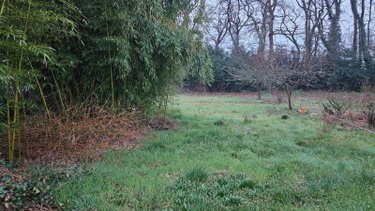 Terrain a batir a vendre Breuillet 17920 Charente-Maritime 1502 m2  84000 euros