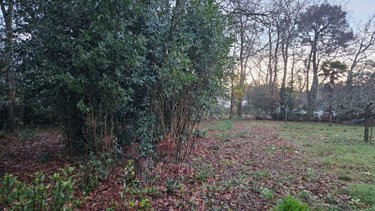 Terrain a batir a vendre Breuillet 17920 Charente-Maritime 1502 m2  84800 euros