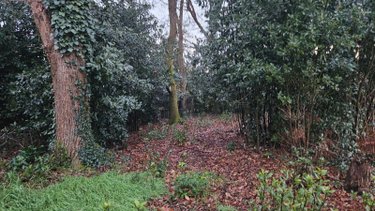 Terrain a batir a vendre Breuillet 17920 Charente-Maritime 1502 m2  84800 euros