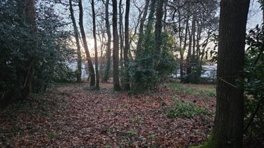 Terrain a batir a vendre Breuillet 17920 Charente-Maritime 1502 m2  84000 euros