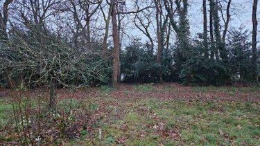 Terrain a batir a vendre Breuillet 17920 Charente-Maritime 1502 m2  84000 euros