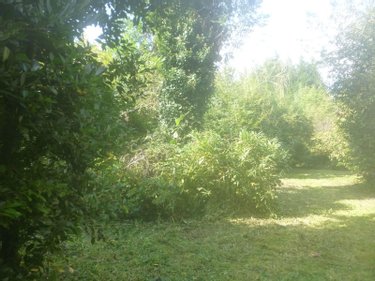 Maison a vendre Harcanville 76560 Seine-Maritime 120 m2 6 pièces 212950 euros