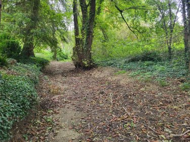 Terrain a batir a vendre Sommesous 51320 Marne 6000 m2  70868 euros