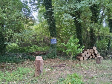 Terrain a batir a vendre Sommesous 51320 Marne 6000 m2  70868 euros