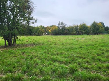 Terrain a batir a vendre Sommesous 51320 Marne 6000 m2  70868 euros