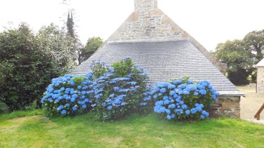Maison a vendre Trégourez 29970 Finistère 325 m2  471600 euros