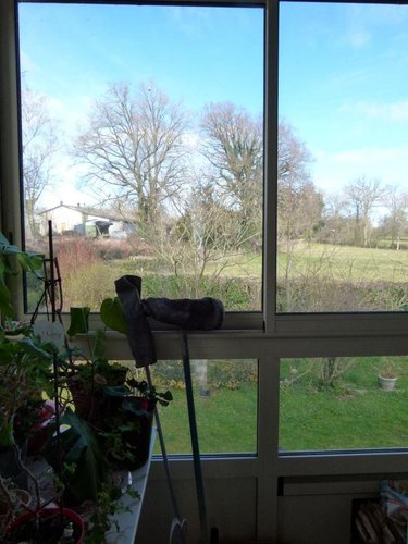 Maison a vendre Mortroux 23220 Creuse 64 m2 2 pièces 74000 euros