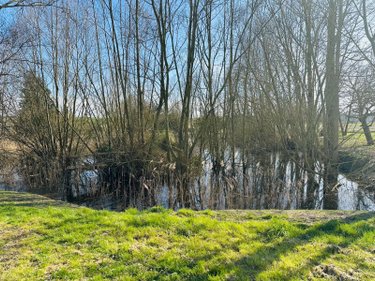 Maison a vendre Lémeré 37120 Indre-et-Loire 120 m2 6 pièces 241900 euros