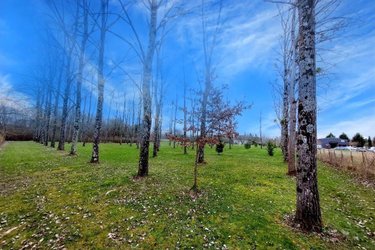 Maison a vendre Bouniagues 24560 Dordogne 189 m2 11 pièces 608000 euros