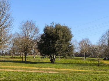 Maison a vendre Martigné-sur-Mayenne 53470 Mayenne 180 m2 6 pièces 375000 euros