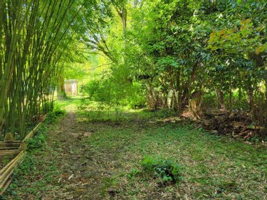 Maison a vendre Cloyes-les-Trois-Rivières 28220 Eure-et-Loir 278 m2 7 pièces 336000 euros