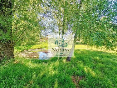 Maison a vendre Cuisery 71290 Saône-et-Loire 178 m2 6 pièces 299000 euros