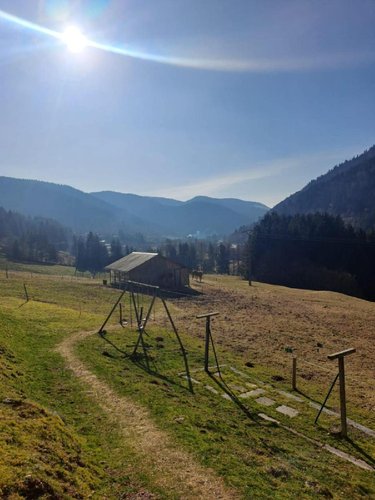 Maison a vendre La Bresse 88250 Vosges 450 m2  761000 euros