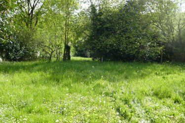 Maison a vendre Argenton-sur-Creuse 36200 Indre 88 m2 4 pièces 111300 euros