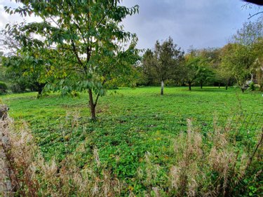 Terrain a batir a vendre Ligny-sur-Canche 62270 Pas-de-Calais 2300 m2  74320 euros